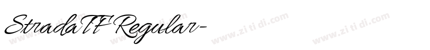 StradaTF Regular字体转换